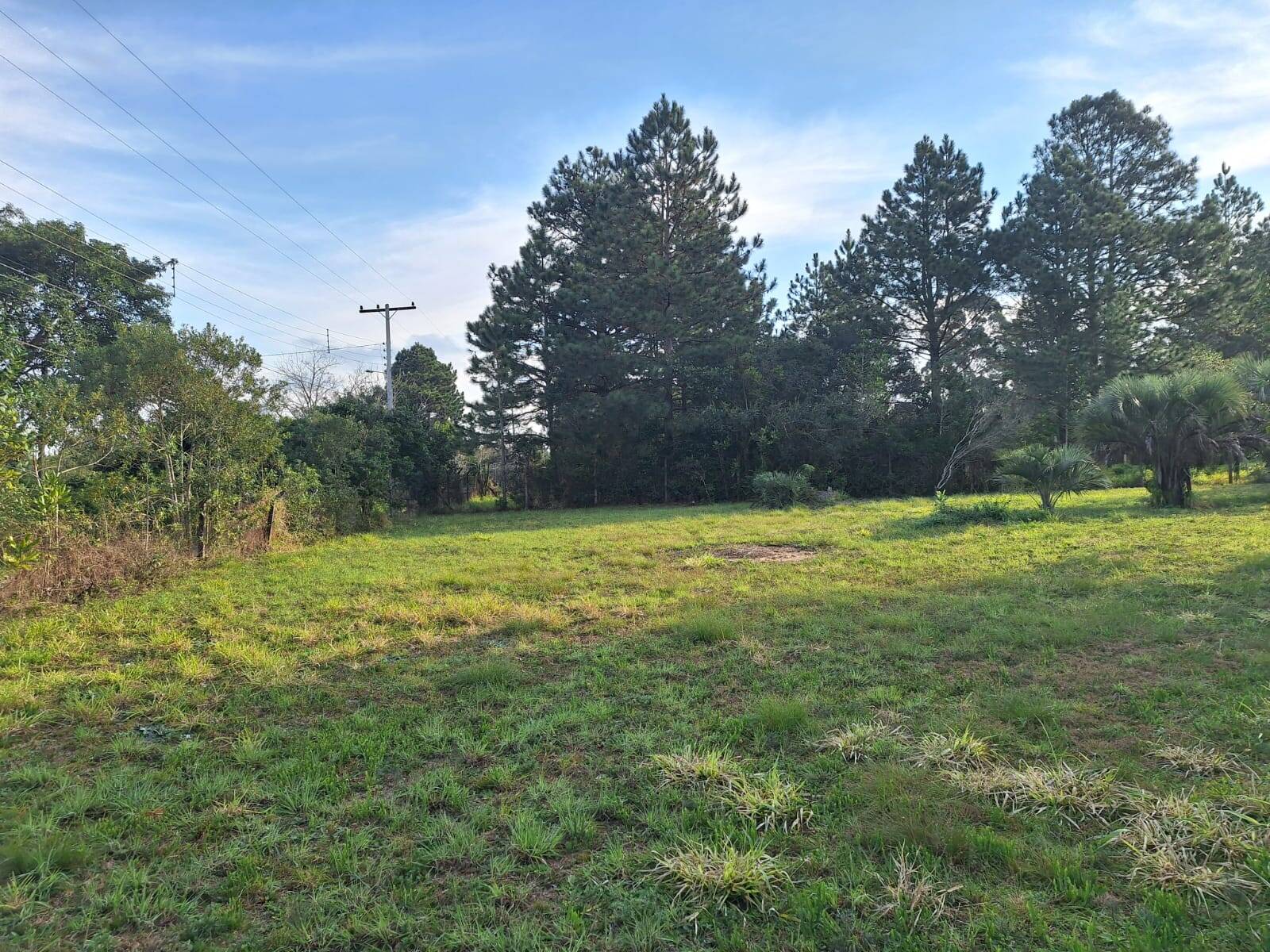 Terreno, 3200 m² - Foto 9