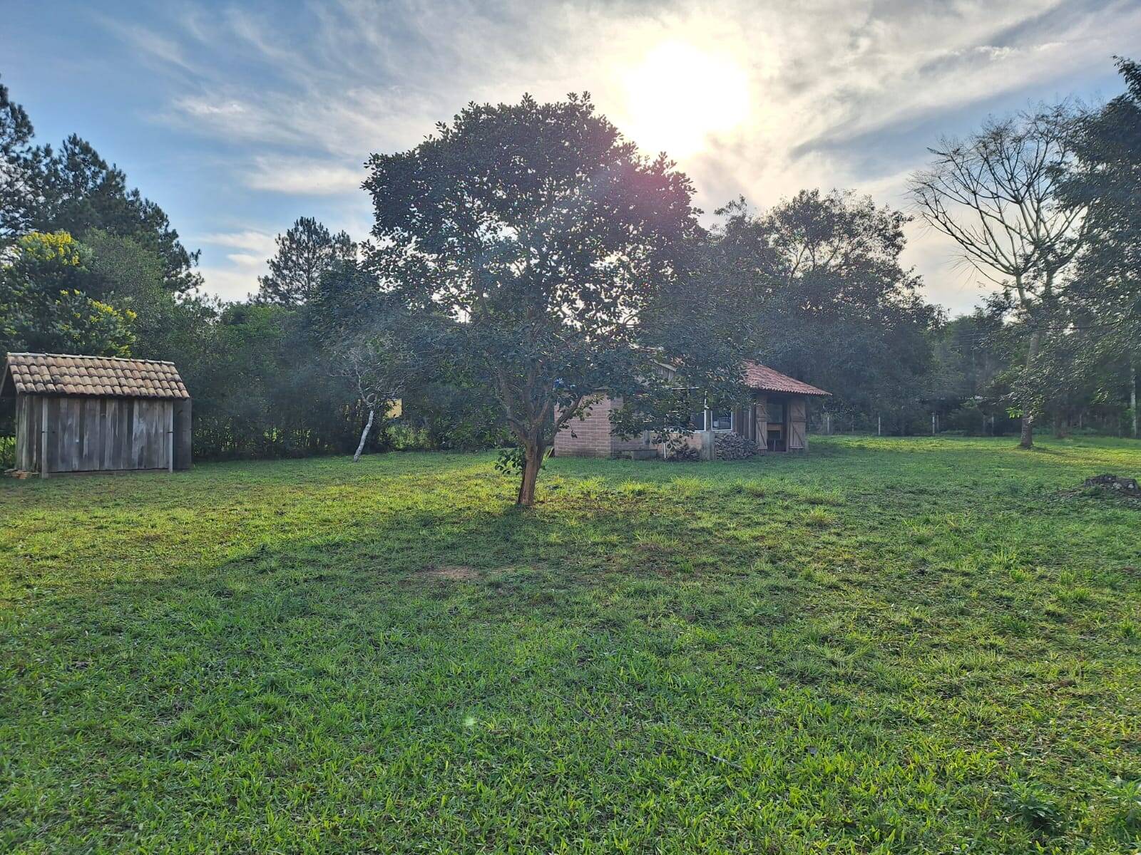 Terreno, 3200 m² - Foto 11