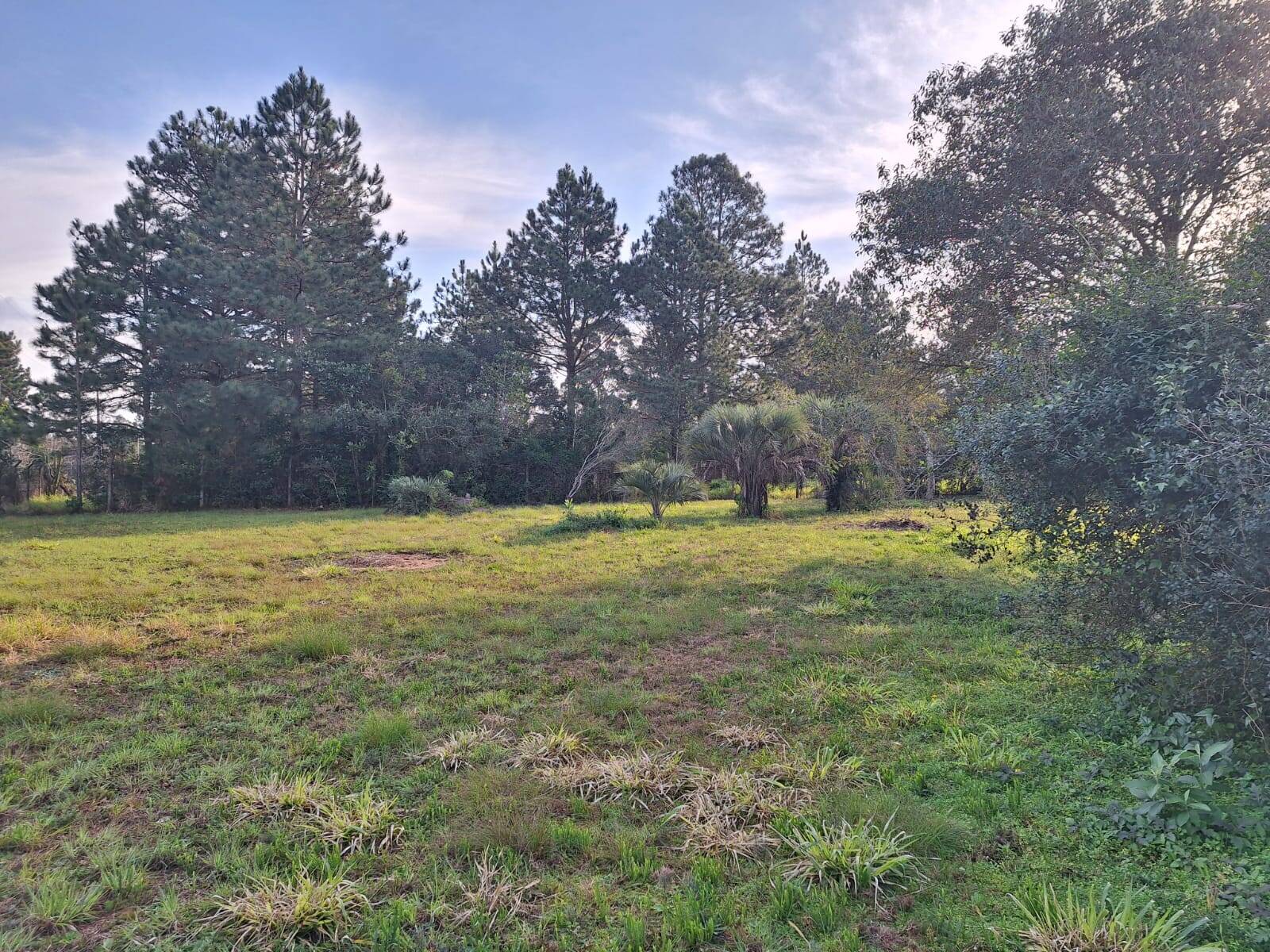 Terreno, 3200 m² - Foto 12