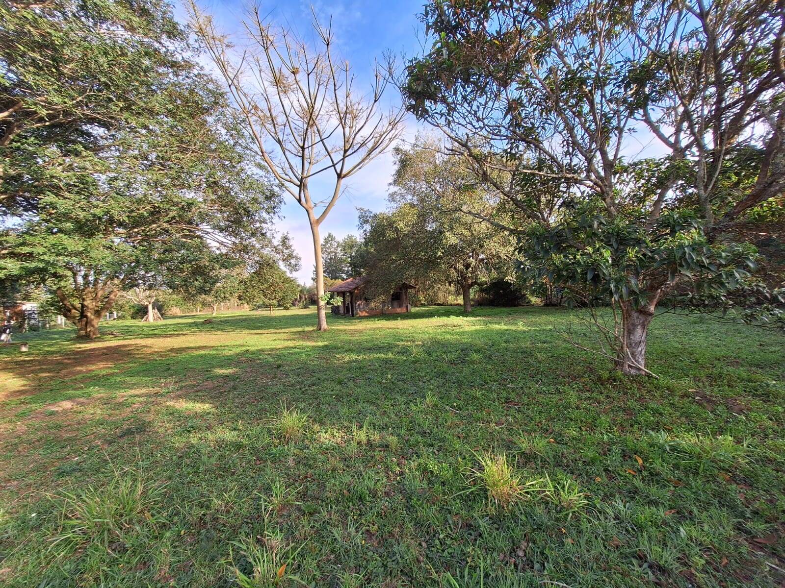 Terreno, 3200 m² - Foto 13