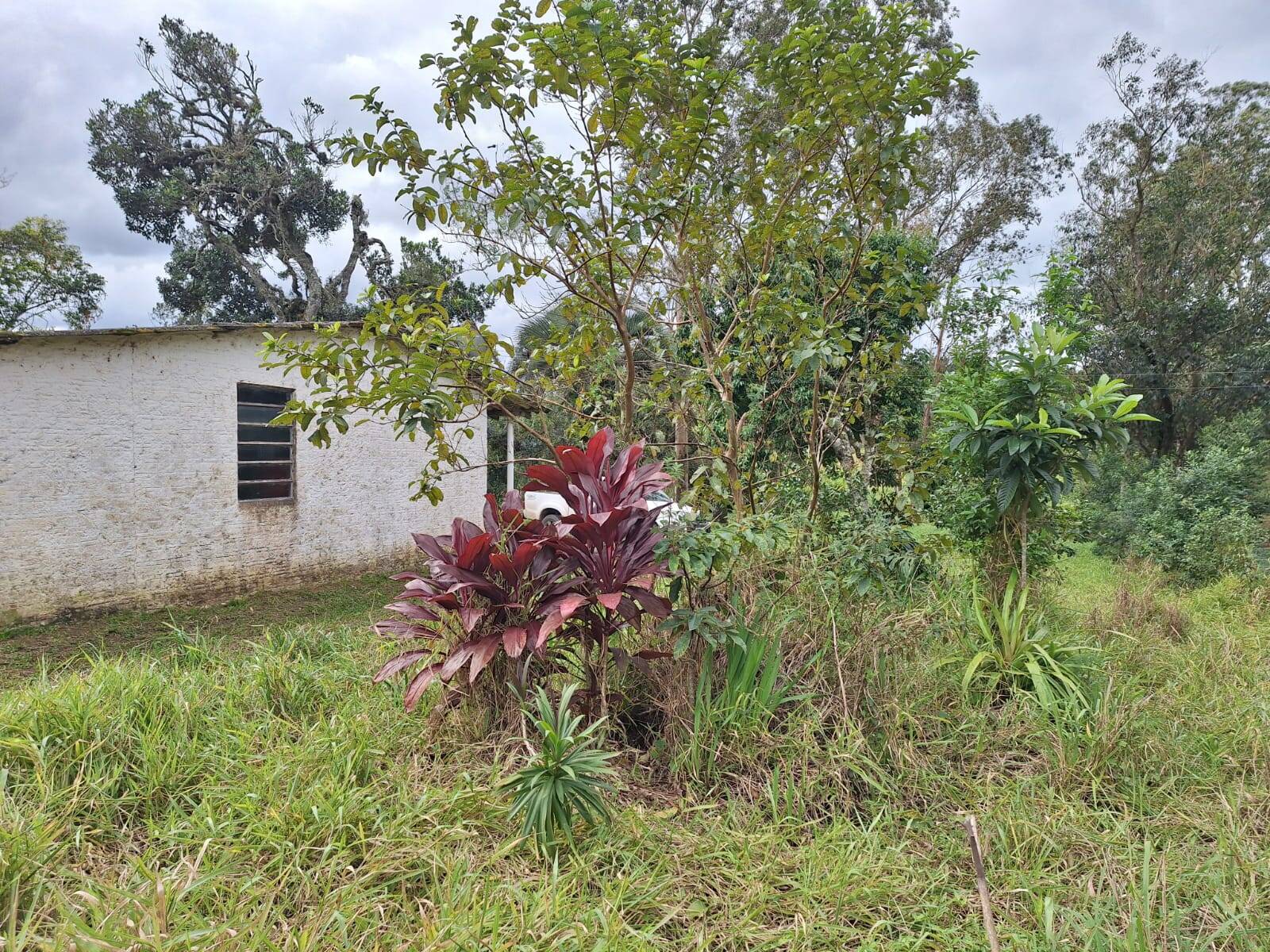 Sítio à venda com 2 quartos, 60m² - Foto 14