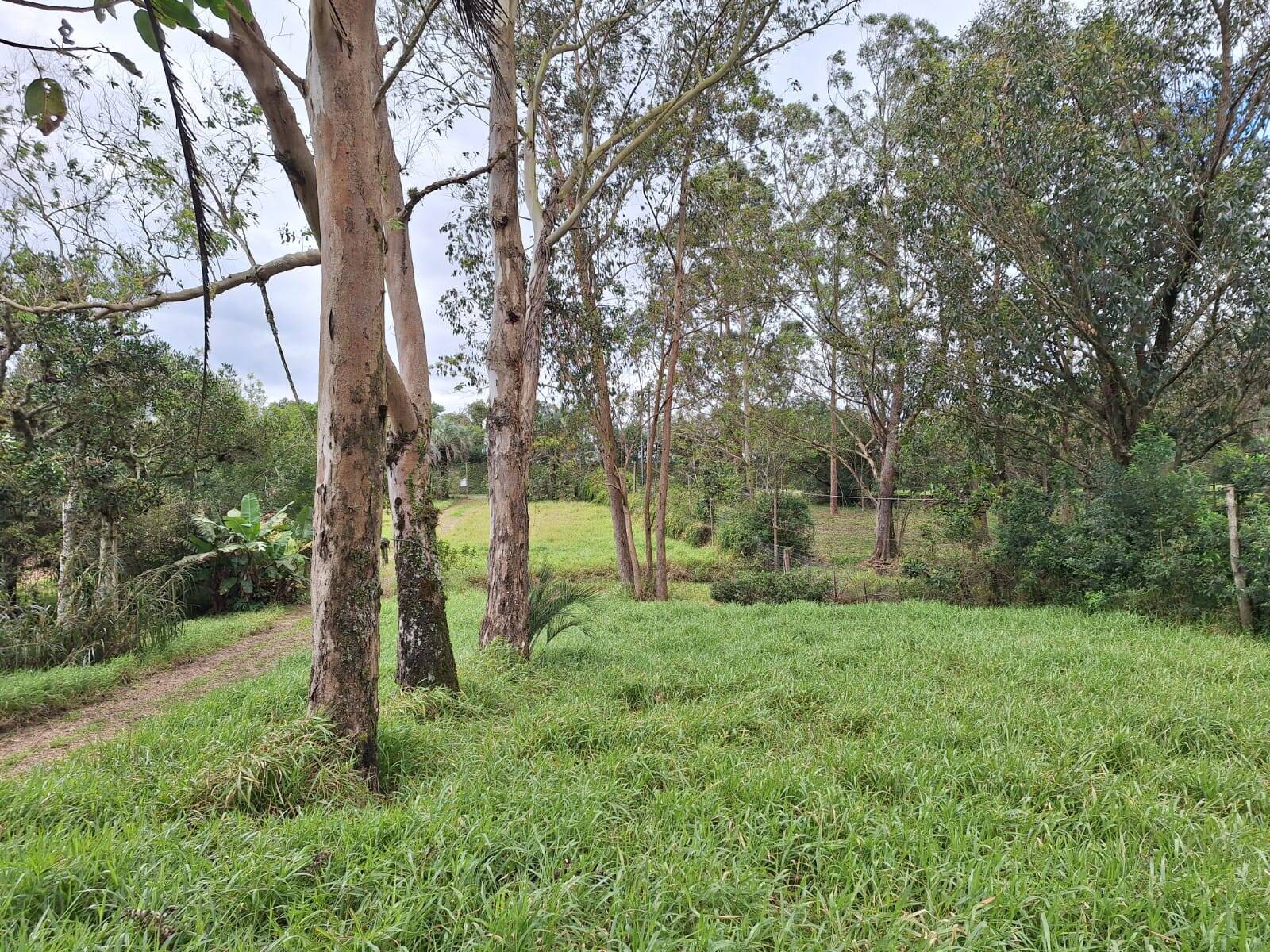 Sítio à venda com 2 quartos, 60m² - Foto 8