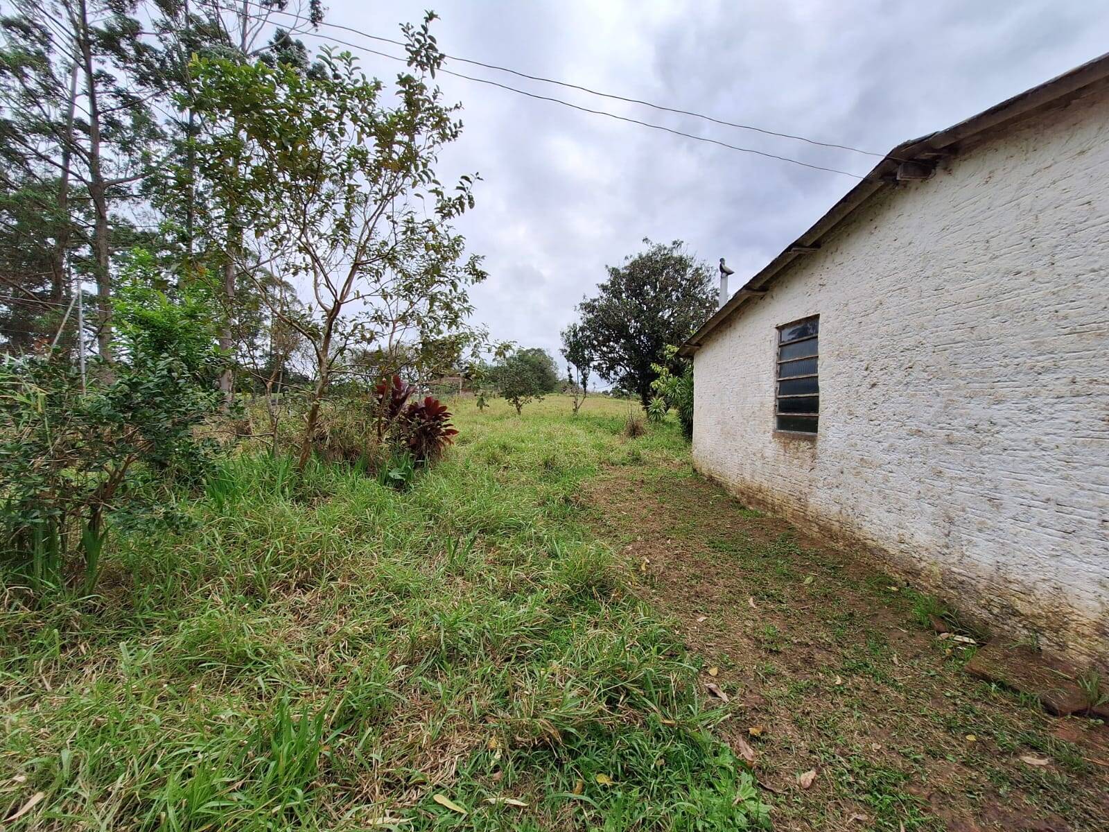 Sítio à venda com 2 quartos, 60m² - Foto 16