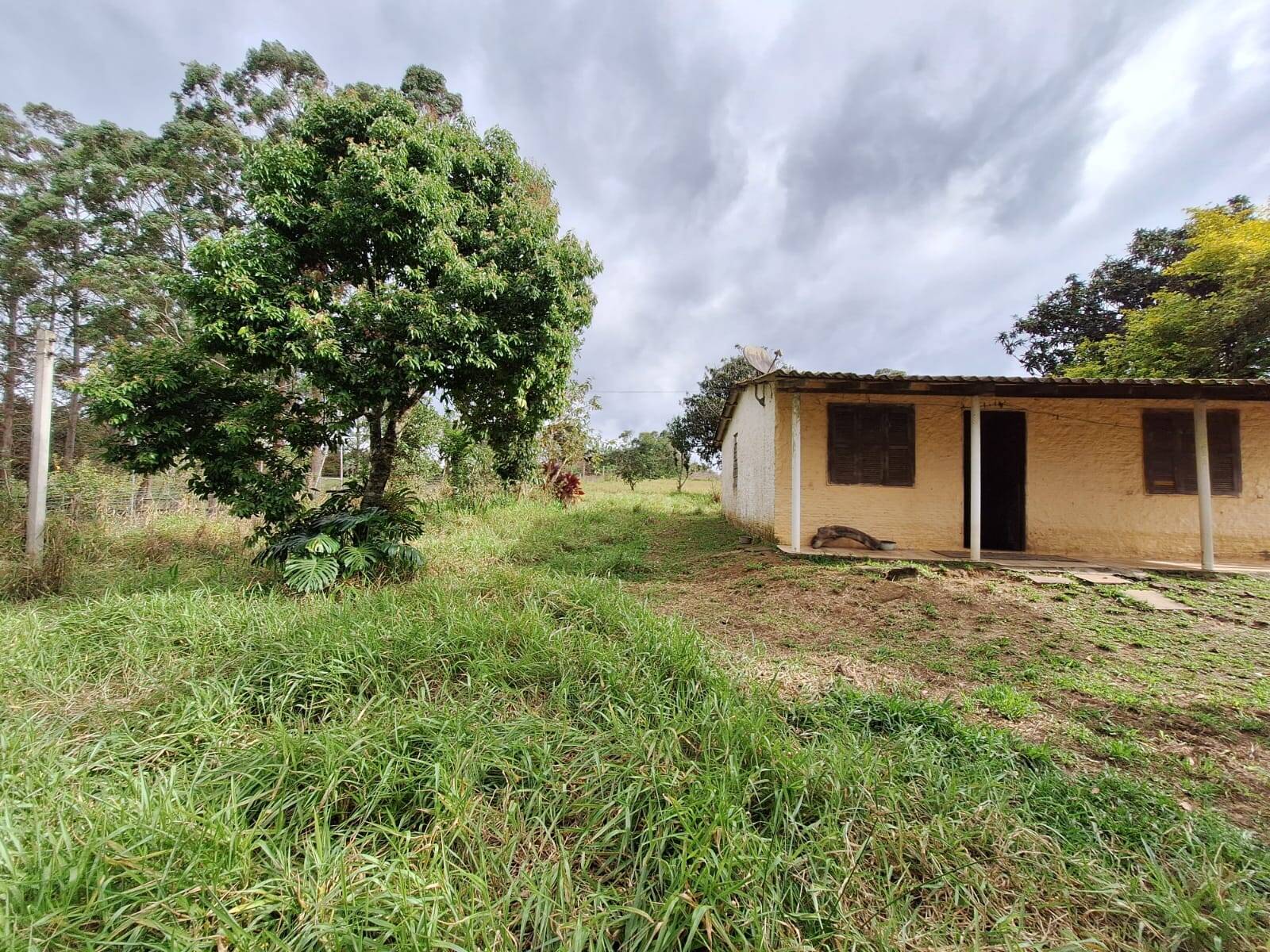 Sítio à venda com 2 quartos, 60m² - Foto 15