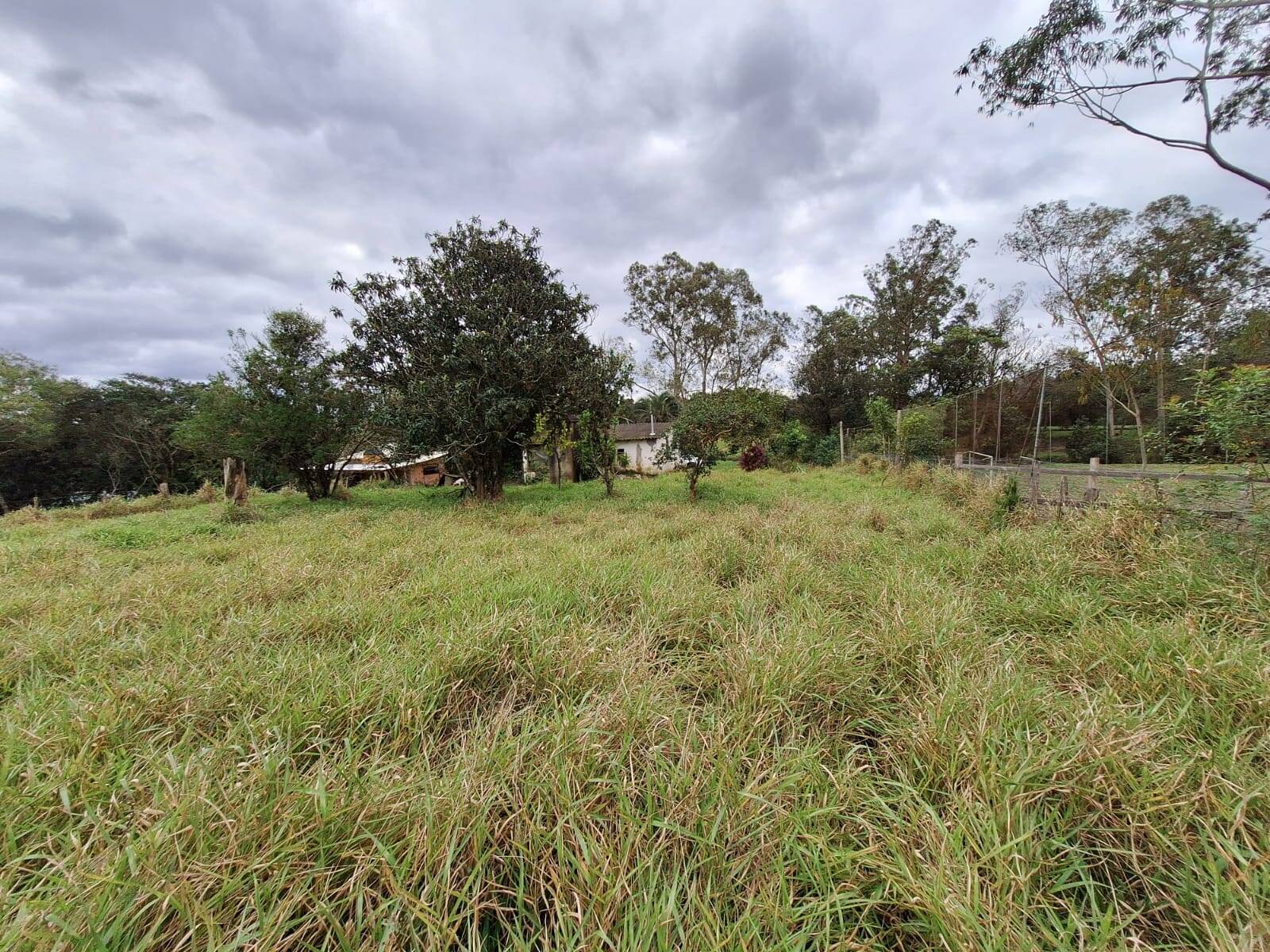 Sítio à venda com 2 quartos, 60m² - Foto 6