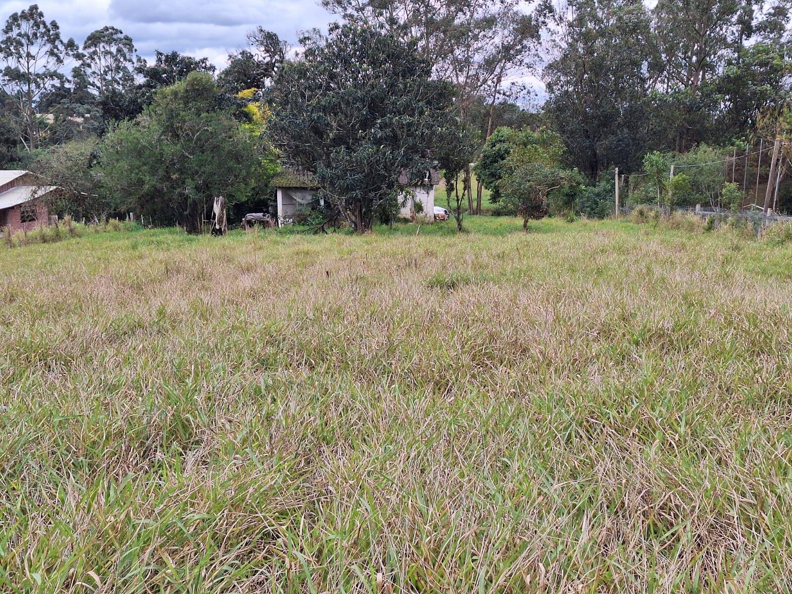 Sítio à venda com 2 quartos, 60m² - Foto 12
