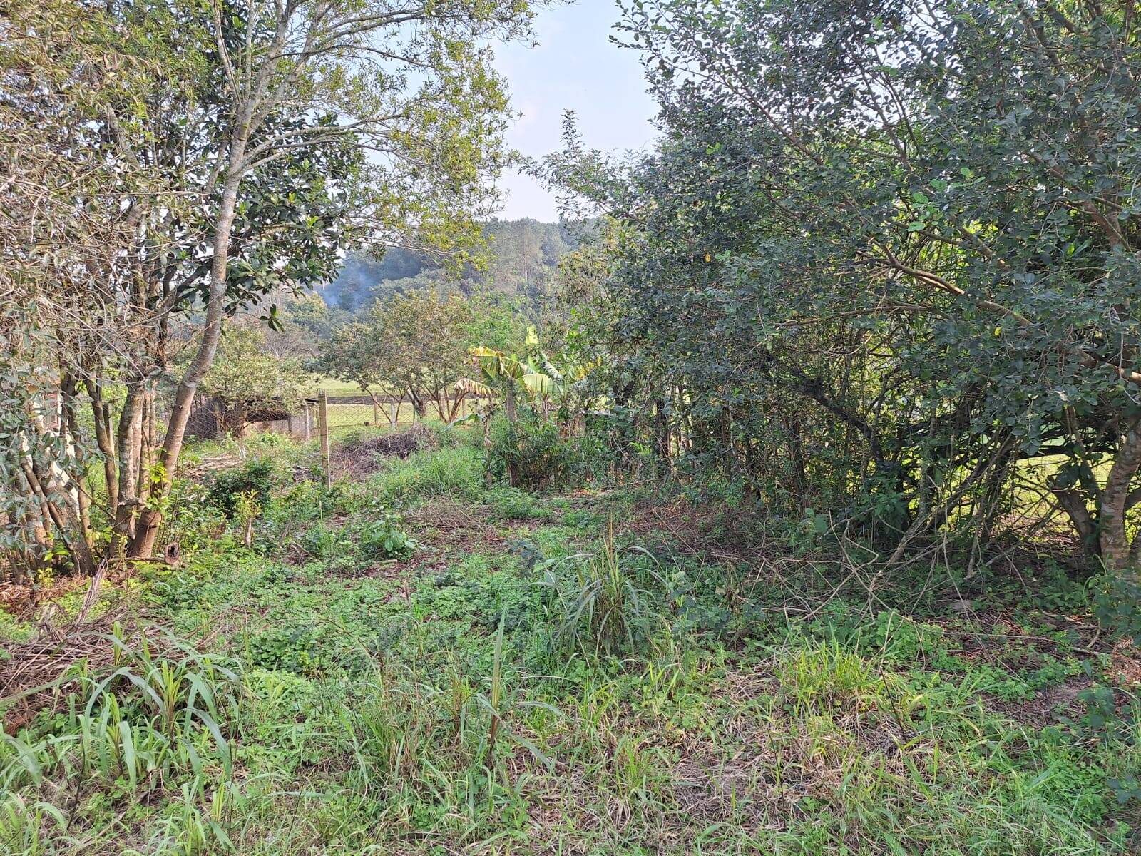 Terreno, 850 m² - Foto 8