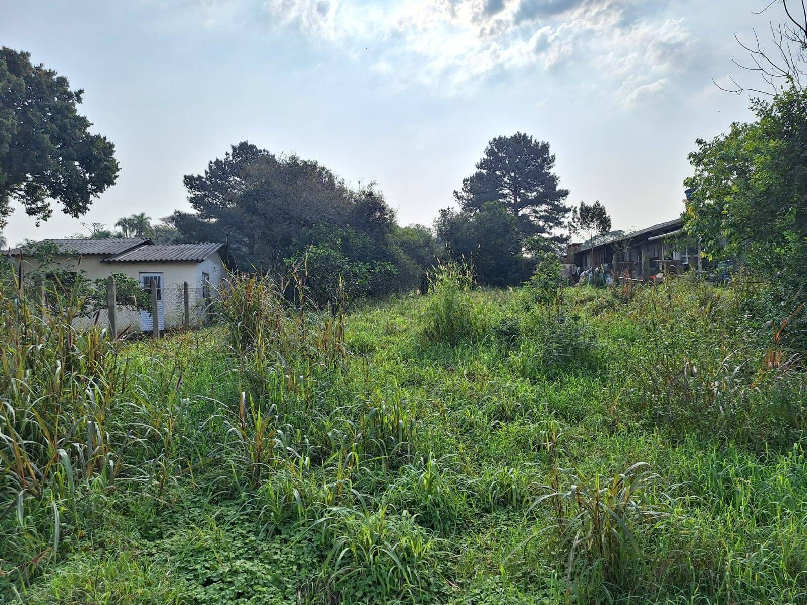 Terreno, 850 m² - Foto 9