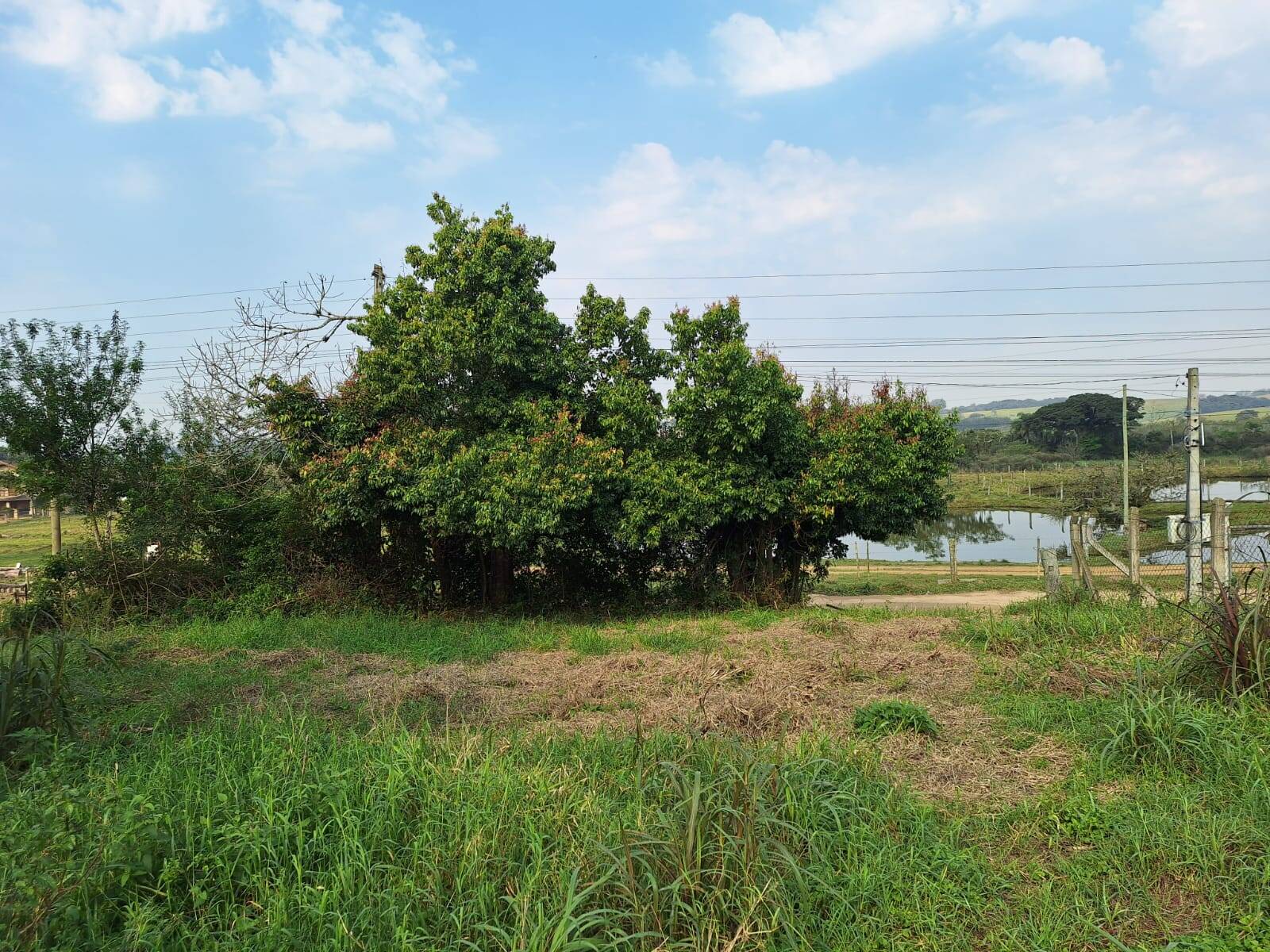 Terreno, 850 m² - Foto 7