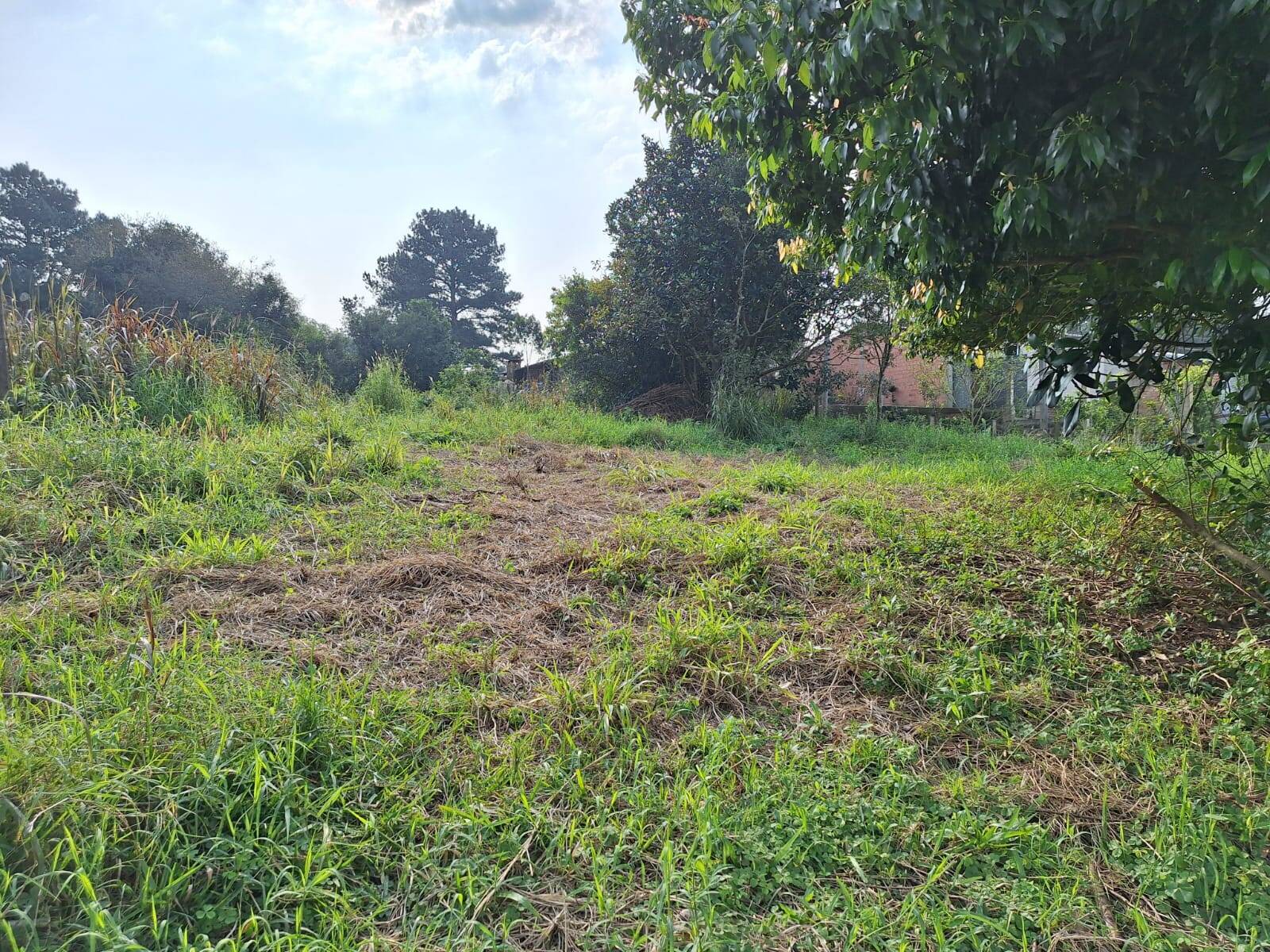 Terreno, 850 m² - Foto 5