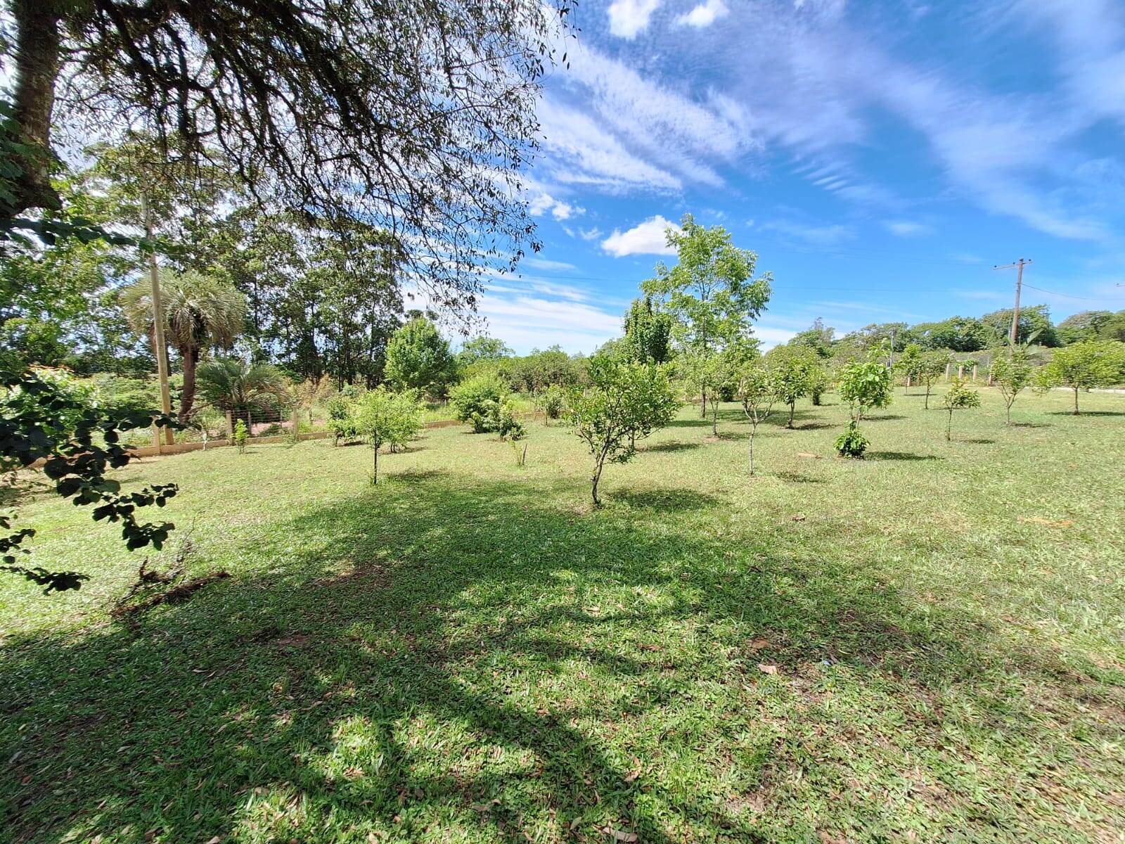 Sítio à venda com 2 quartos, 99m² - Foto 5