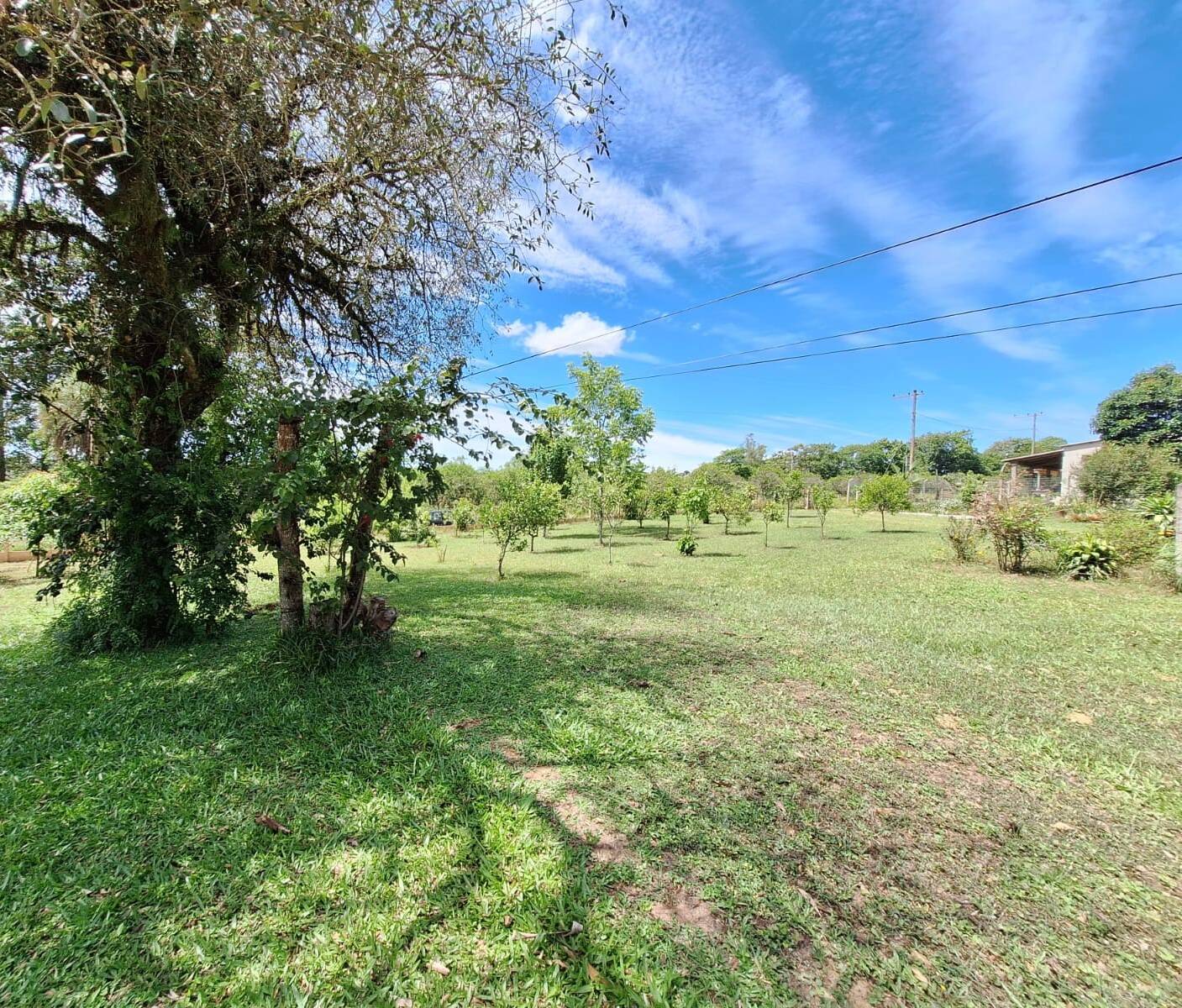 Sítio à venda com 2 quartos, 99m² - Foto 6