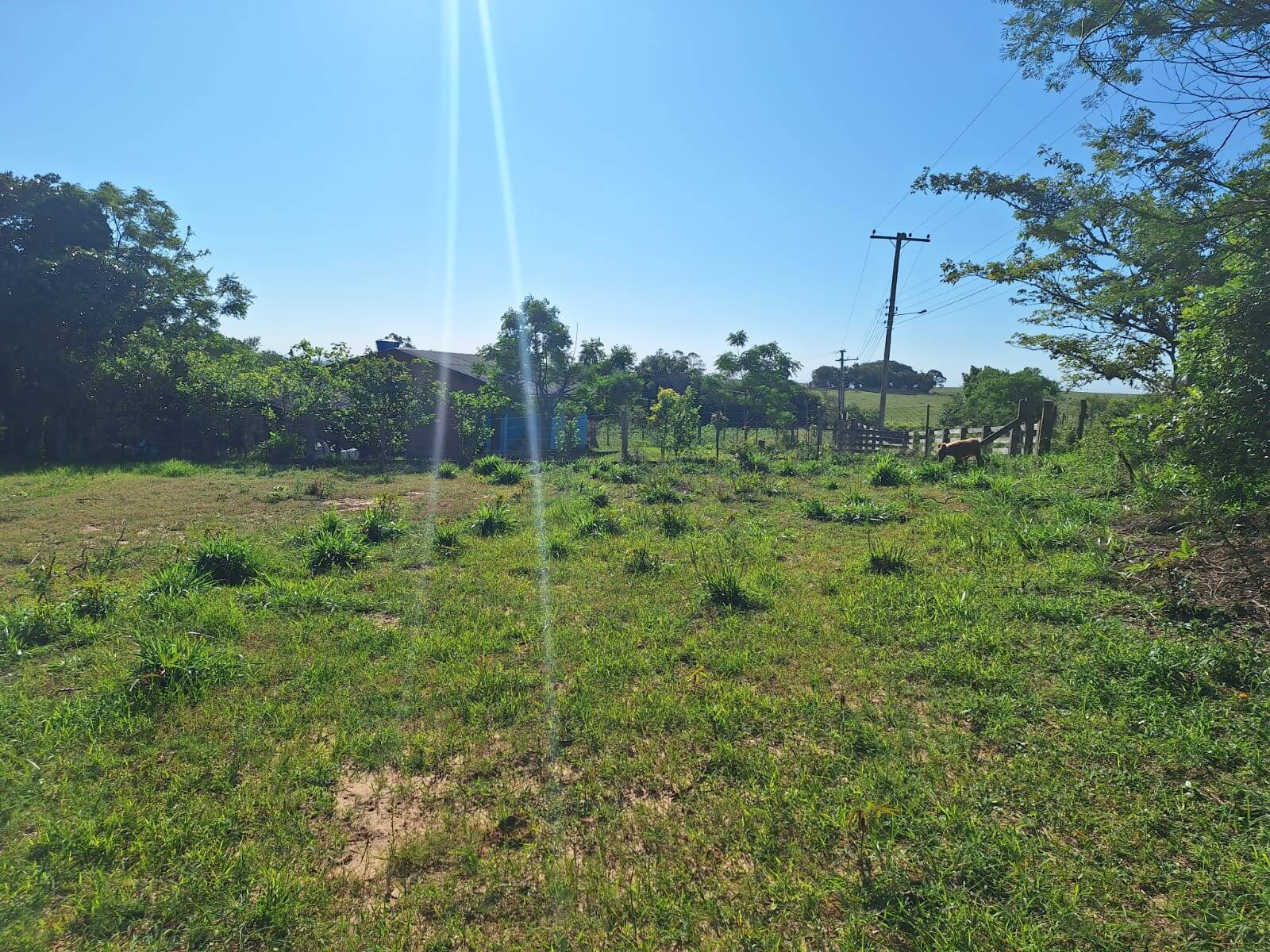 Terreno, 1280 m² - Foto 2