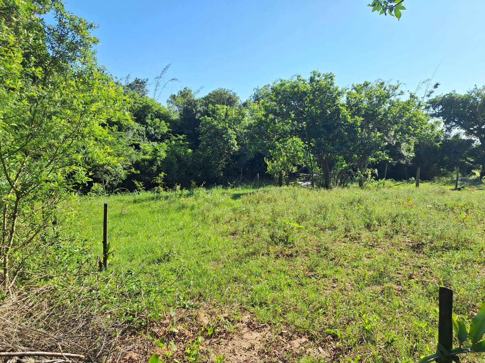 Terreno, 1280 m² - Foto 4