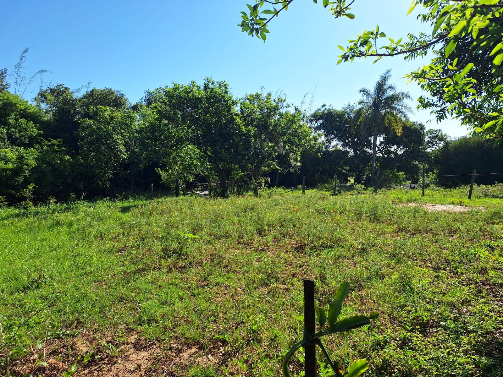 Terreno, 1280 m² - Foto 5