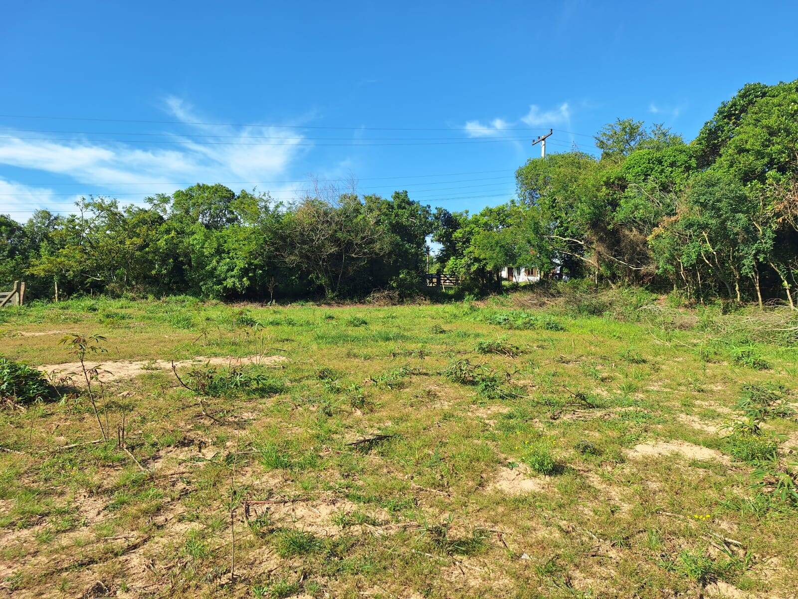 Terreno, 1280 m² - Foto 6