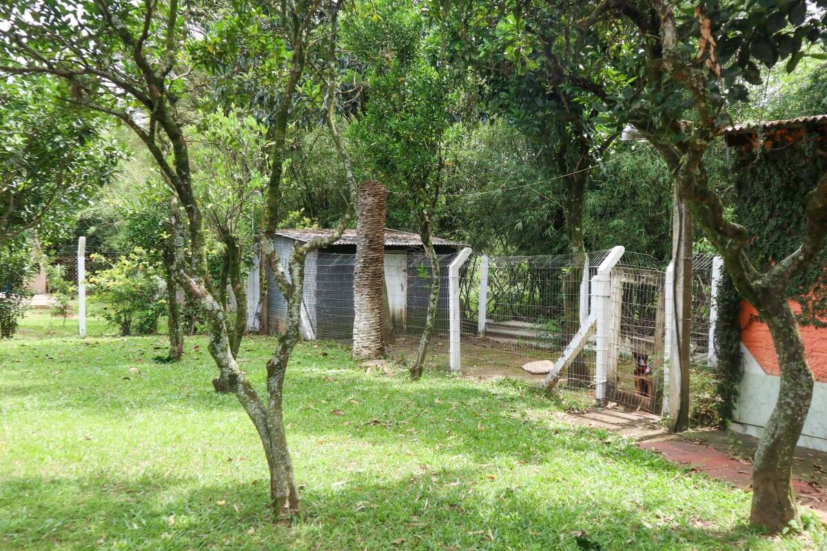 Casa, 4 quartos, 300 m² - Foto 49