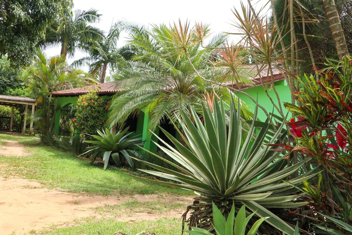 Casa, 4 quartos, 300 m² - Foto 7