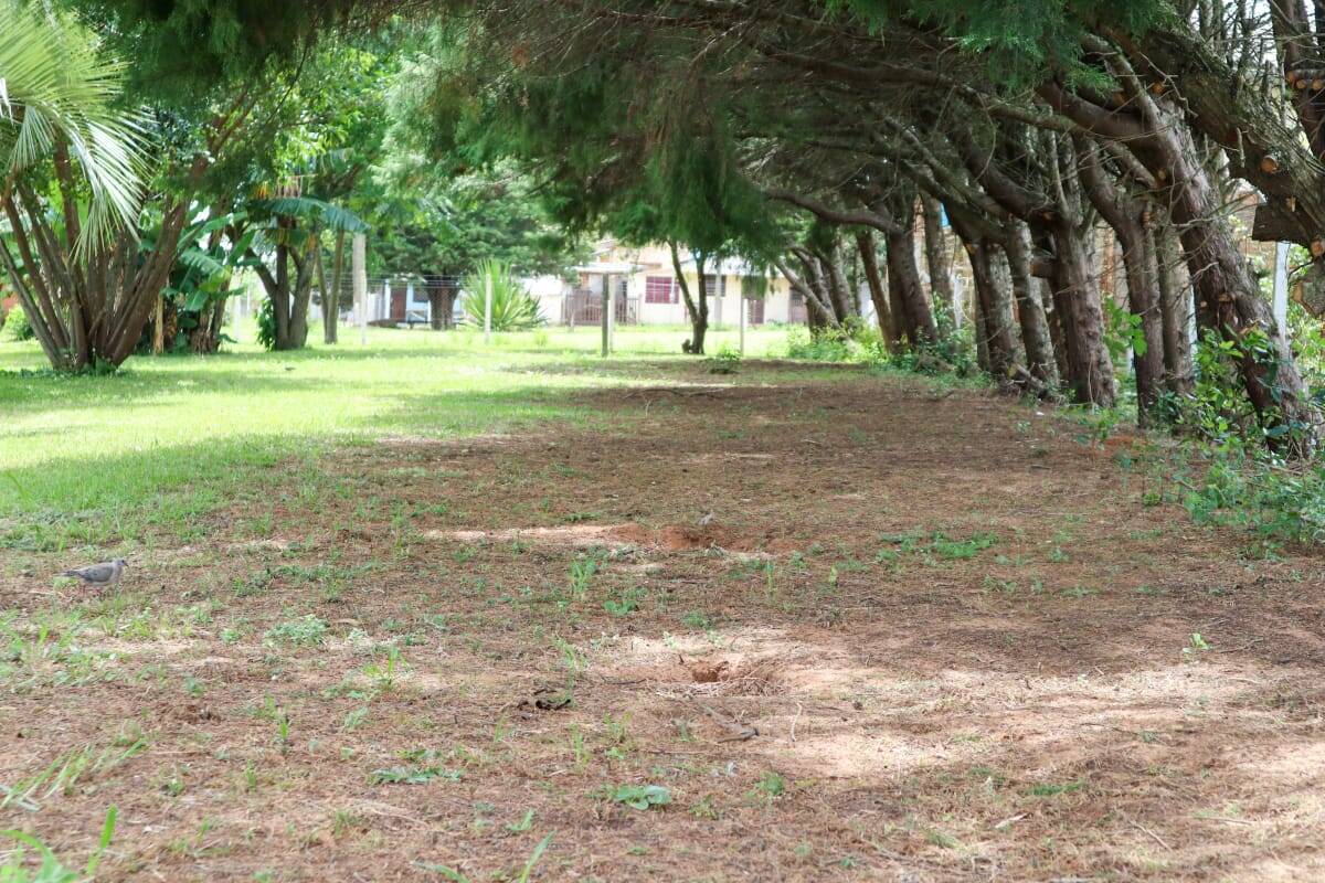 Casa, 4 quartos, 300 m² - Foto 8