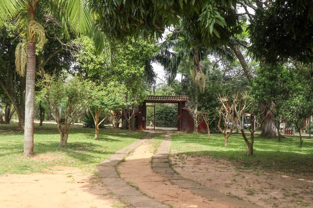 Casa, 4 quartos, 300 m² - Foto 10