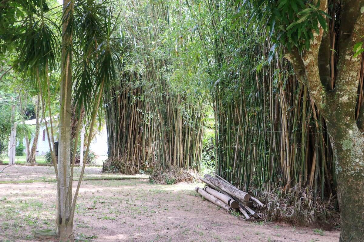 Casa, 4 quartos, 300 m² - Foto 12