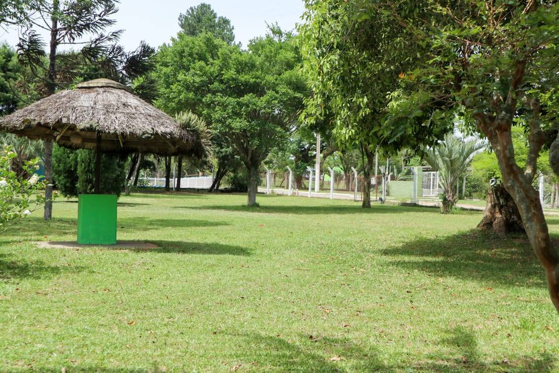 Casa, 4 quartos, 300 m² - Foto 13