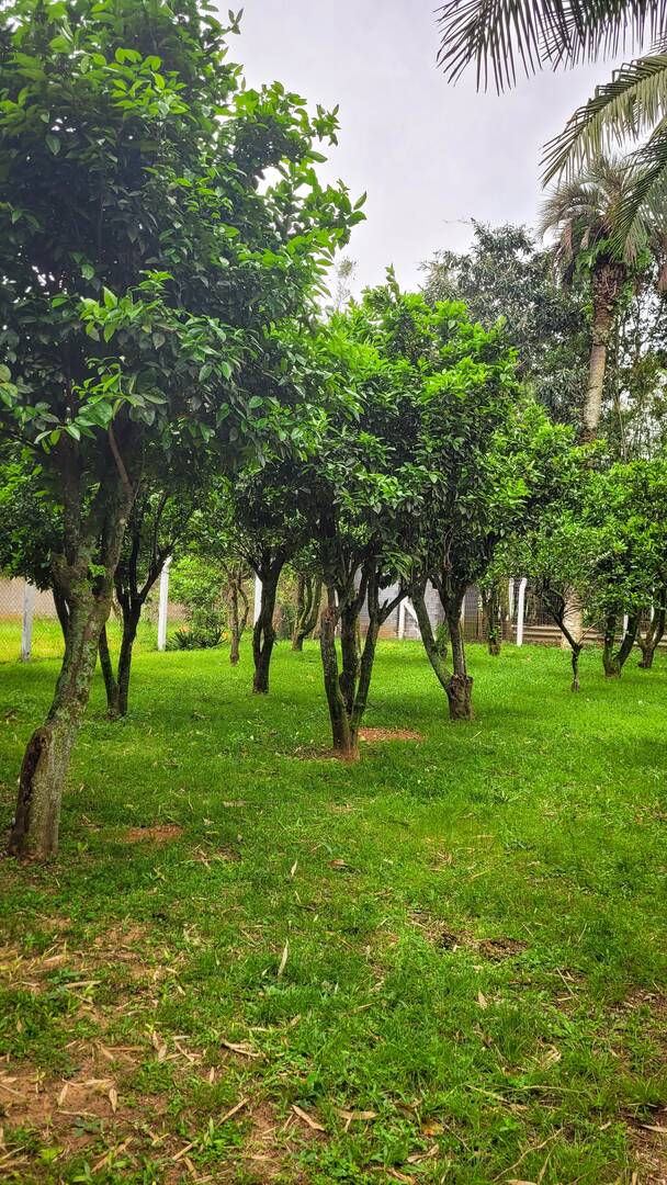 Casa, 4 quartos, 300 m² - Foto 26