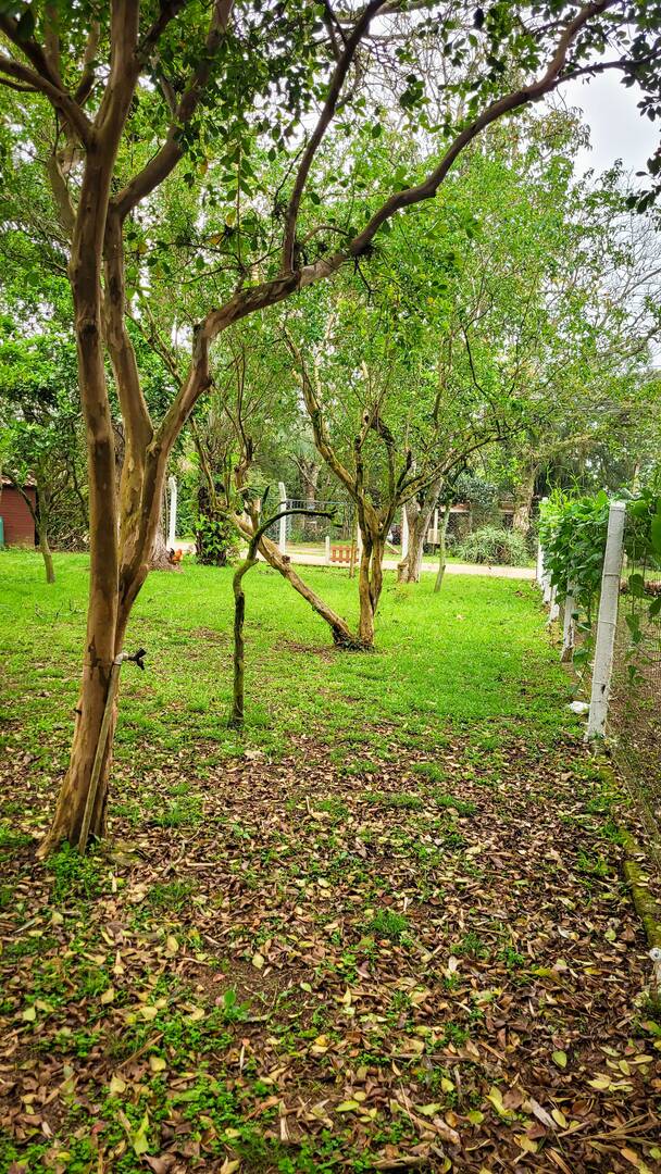 Casa, 4 quartos, 300 m² - Foto 28