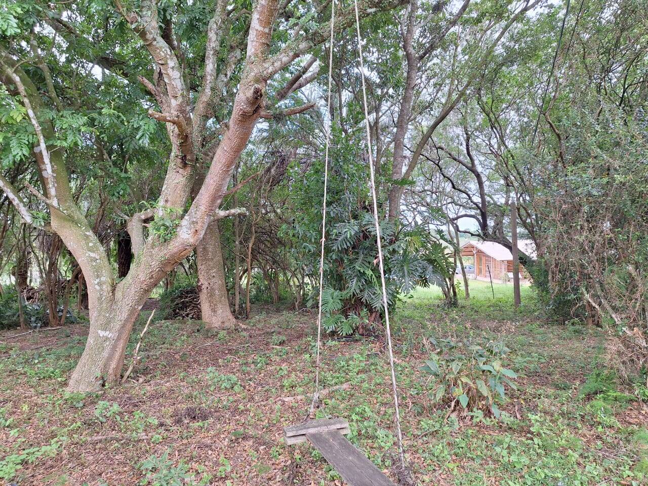Sítio à venda com 2 quartos, 271m² - Foto 24