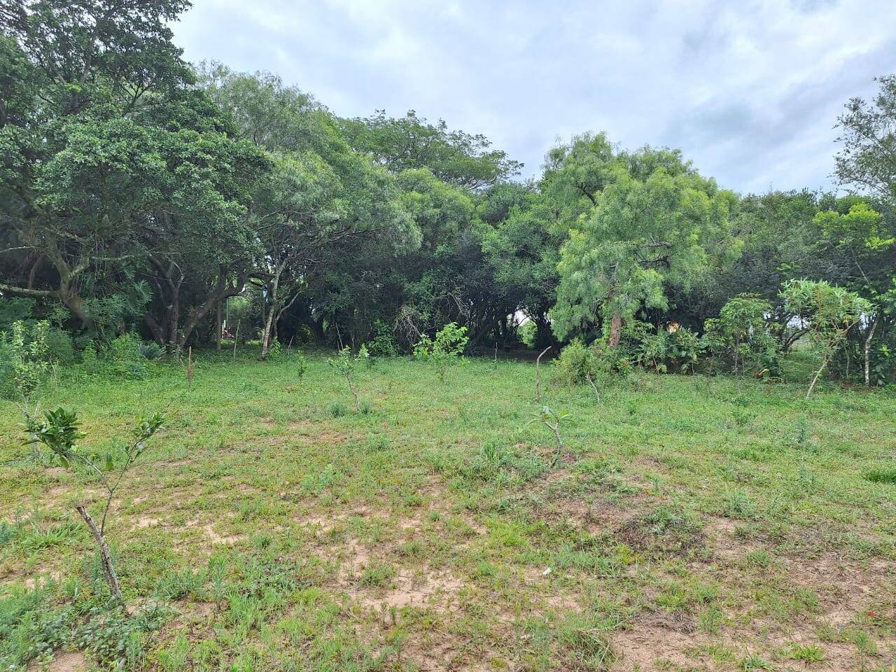 Sítio à venda com 2 quartos, 271m² - Foto 28
