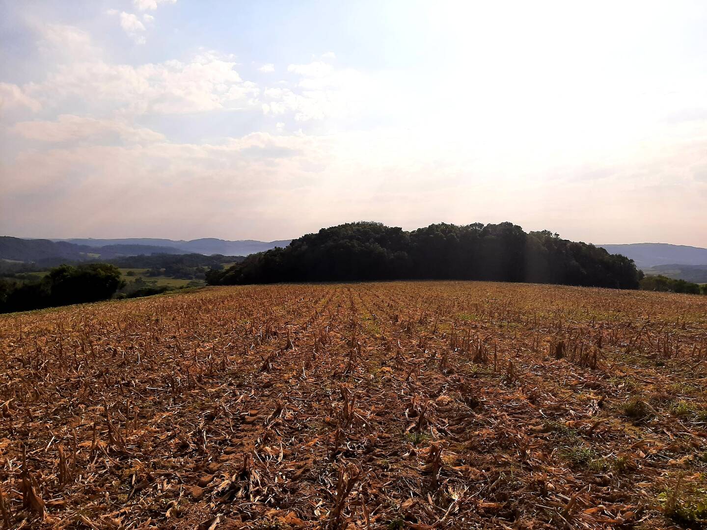 Terreno, 1 hectares - Foto 3