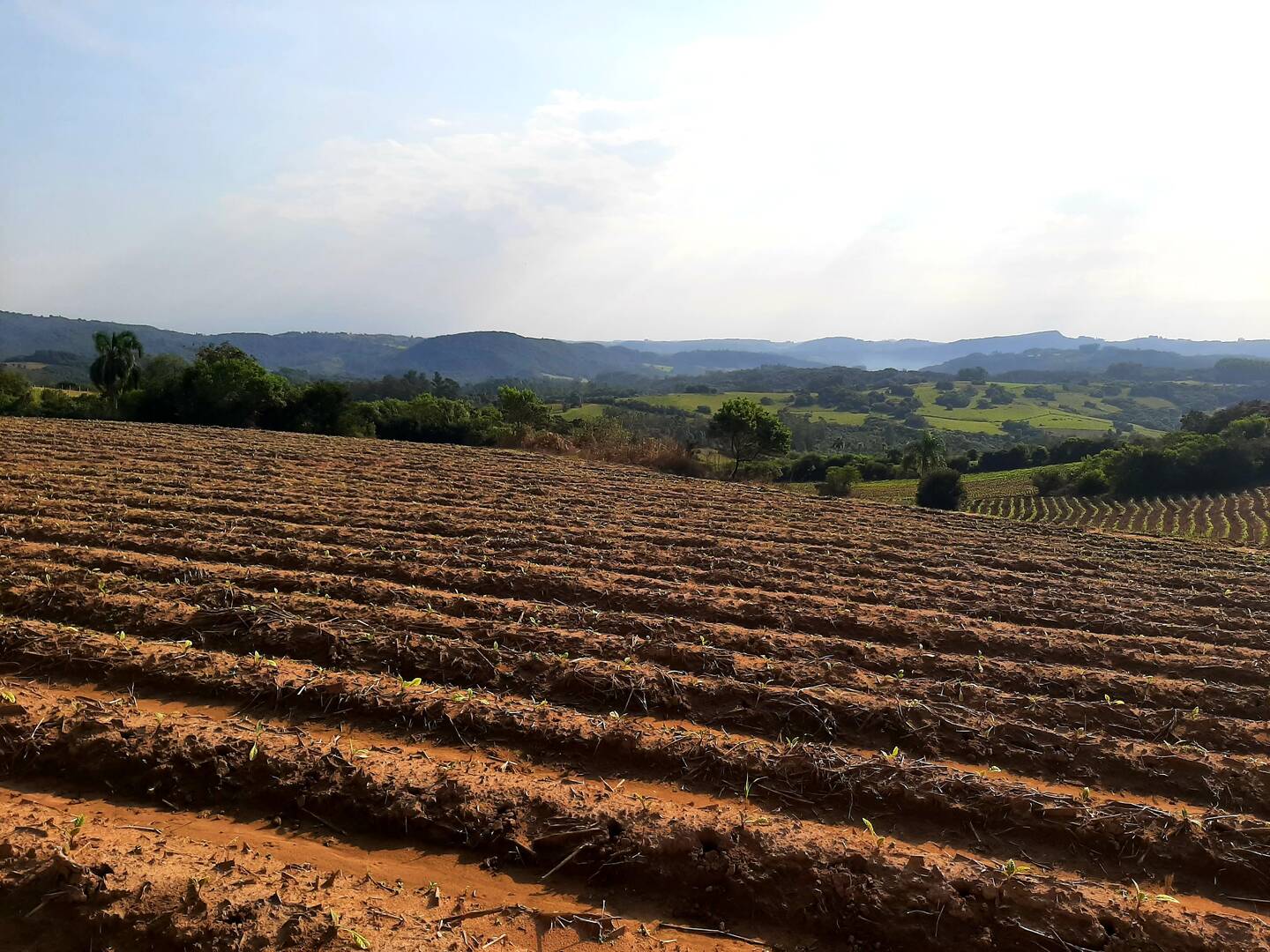 Terreno, 1 hectares - Foto 4