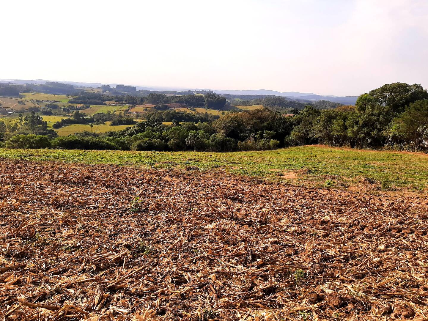 Terreno, 1 hectares - Foto 6