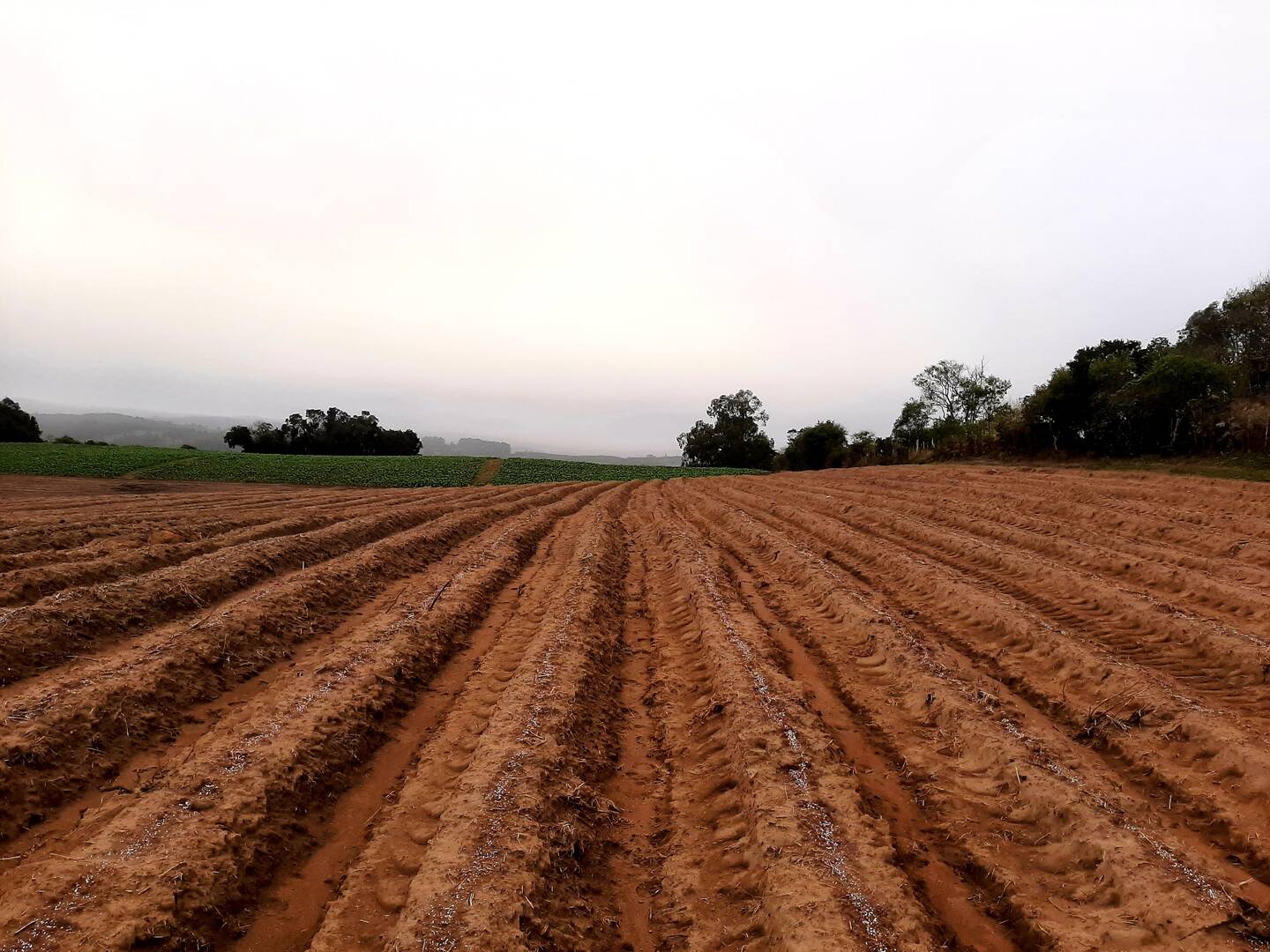 Terreno, 1 hectares - Foto 2