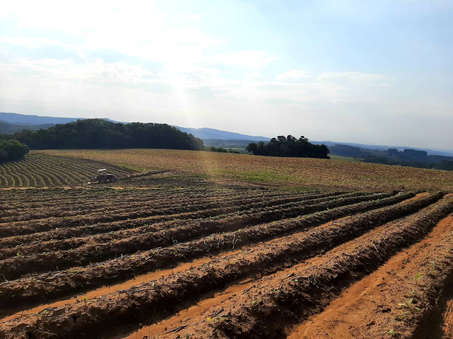 Terreno, 1 hectares - Foto 9