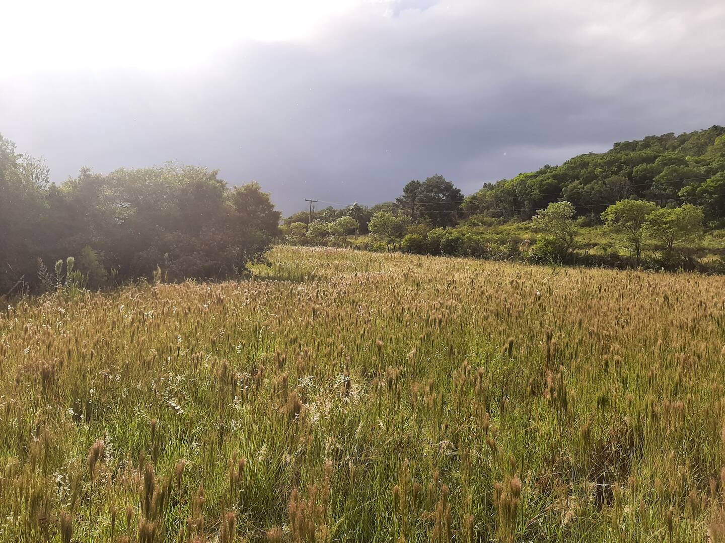 Terreno, 1 hectares - Foto 5