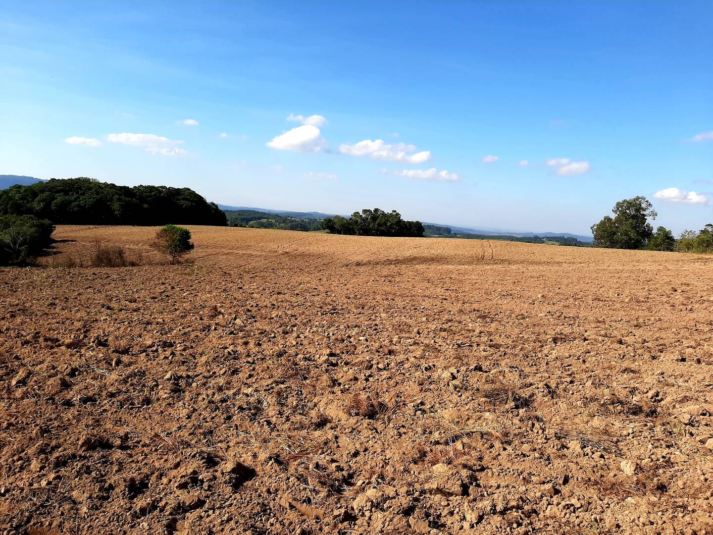 Terreno, 1 hectares - Foto 13