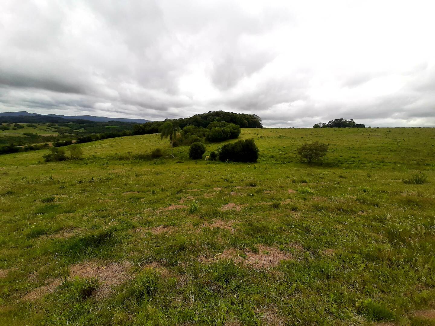 Terreno, 1 hectares - Foto 15