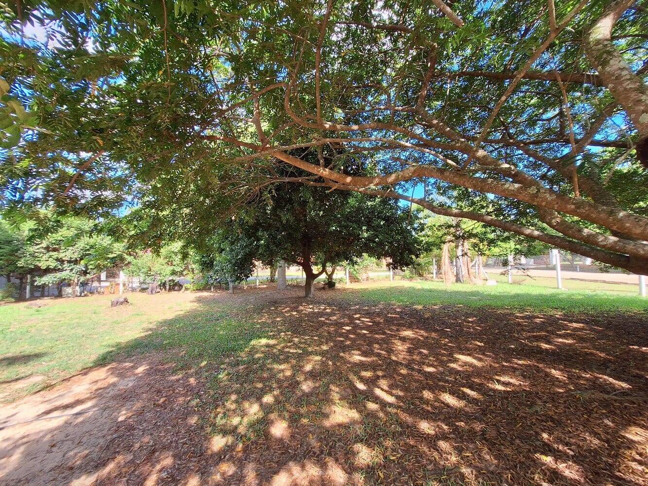 Casa, 4 quartos, 256 m² - Foto 29