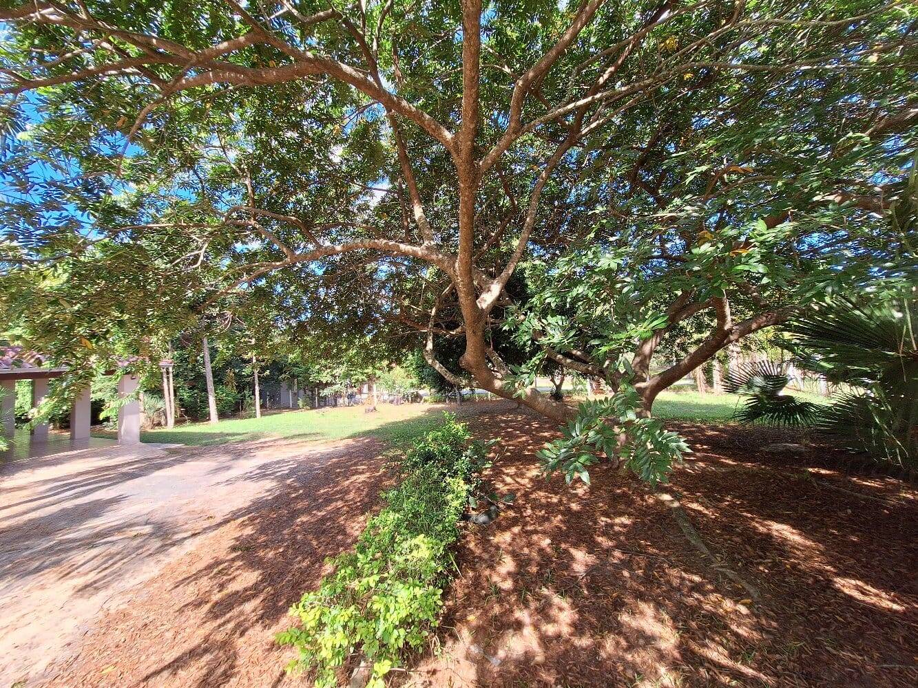 Casa, 4 quartos, 256 m² - Foto 30