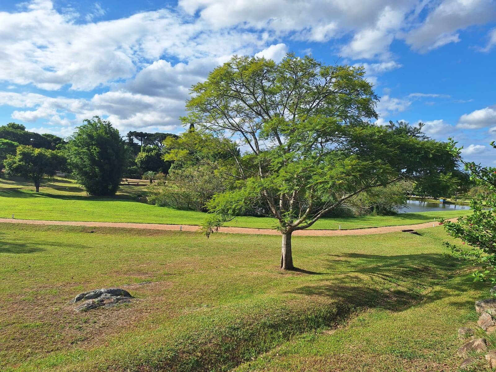 Casa, 4 quartos, 256 m² - Foto 36