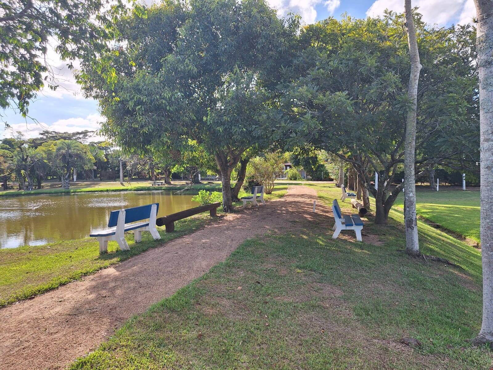 Casa, 4 quartos, 256 m² - Foto 41