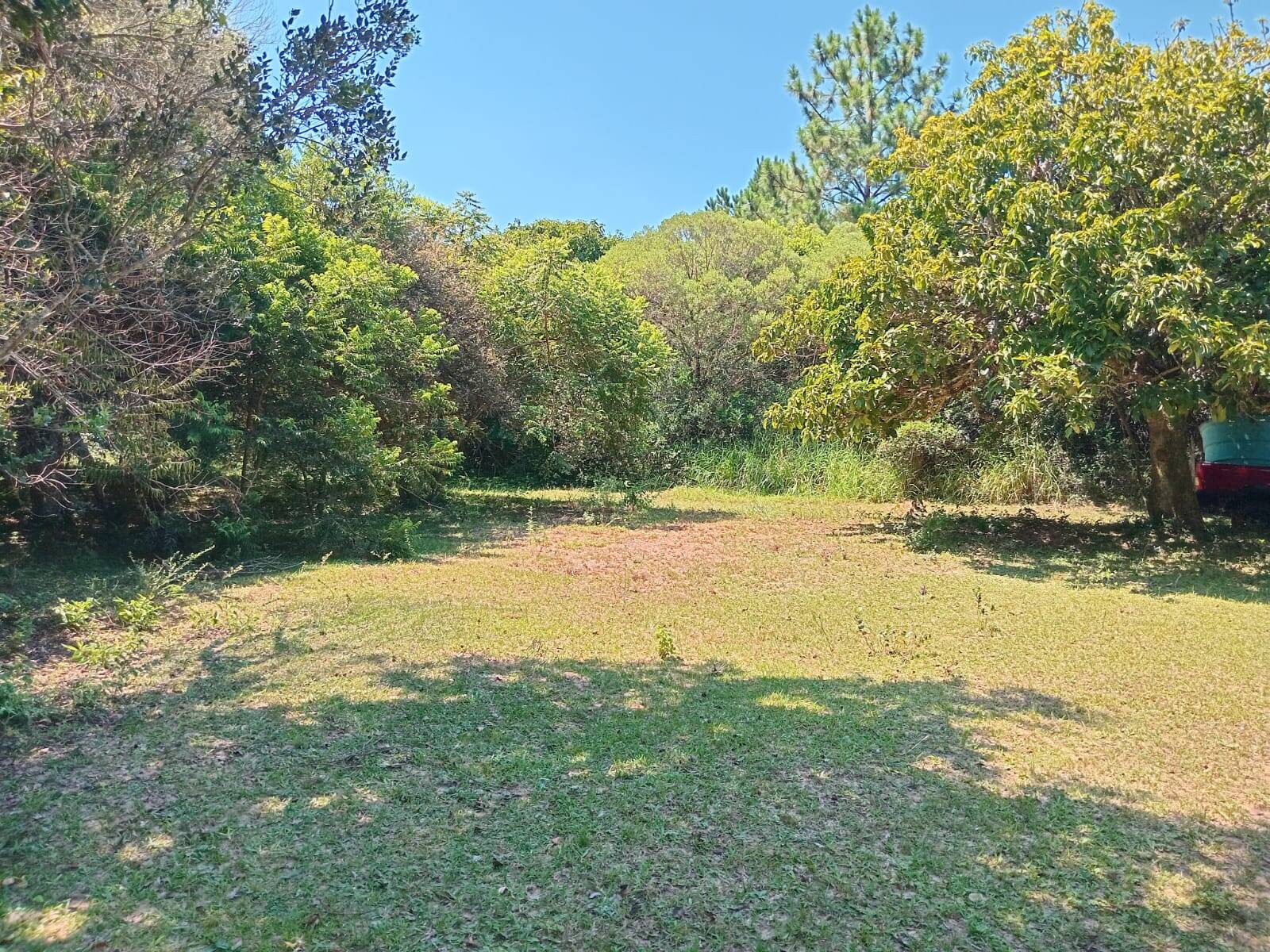 Sítio à venda com 2 quartos, 20000m² - Foto 4
