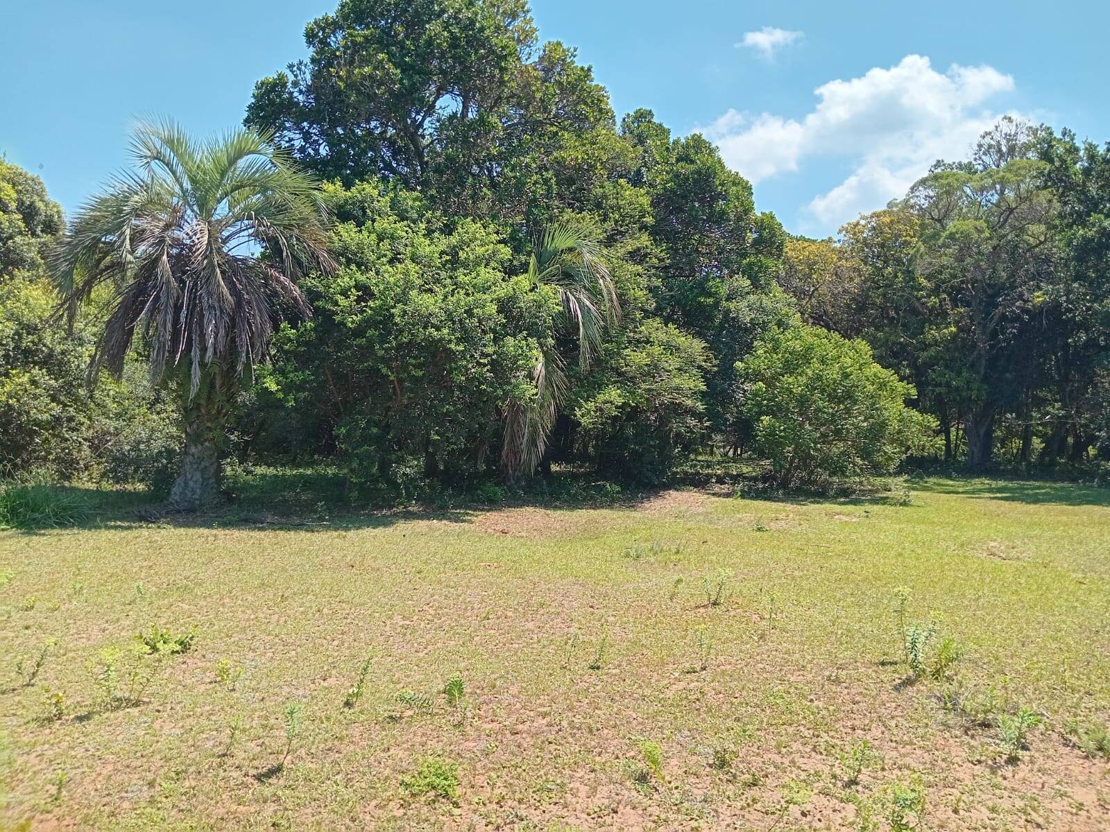 Sítio à venda com 2 quartos, 20000m² - Foto 5