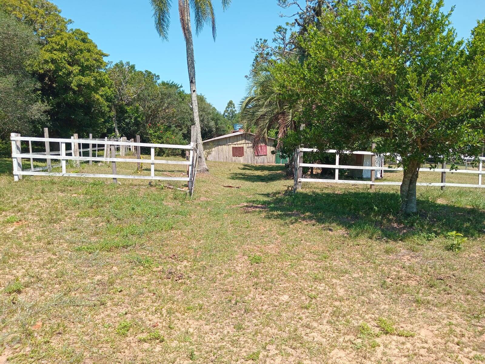 Sítio à venda com 2 quartos, 20000m² - Foto 1