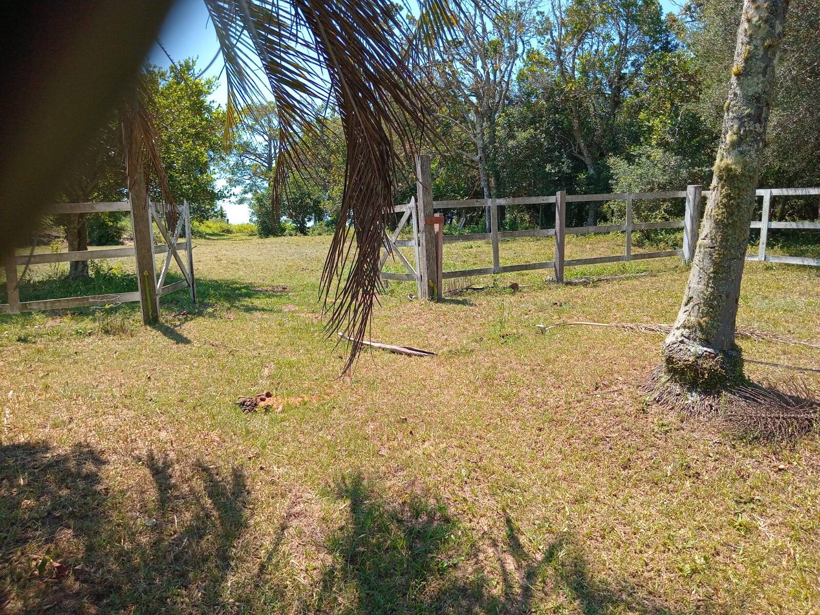 Sítio à venda com 2 quartos, 20000m² - Foto 12