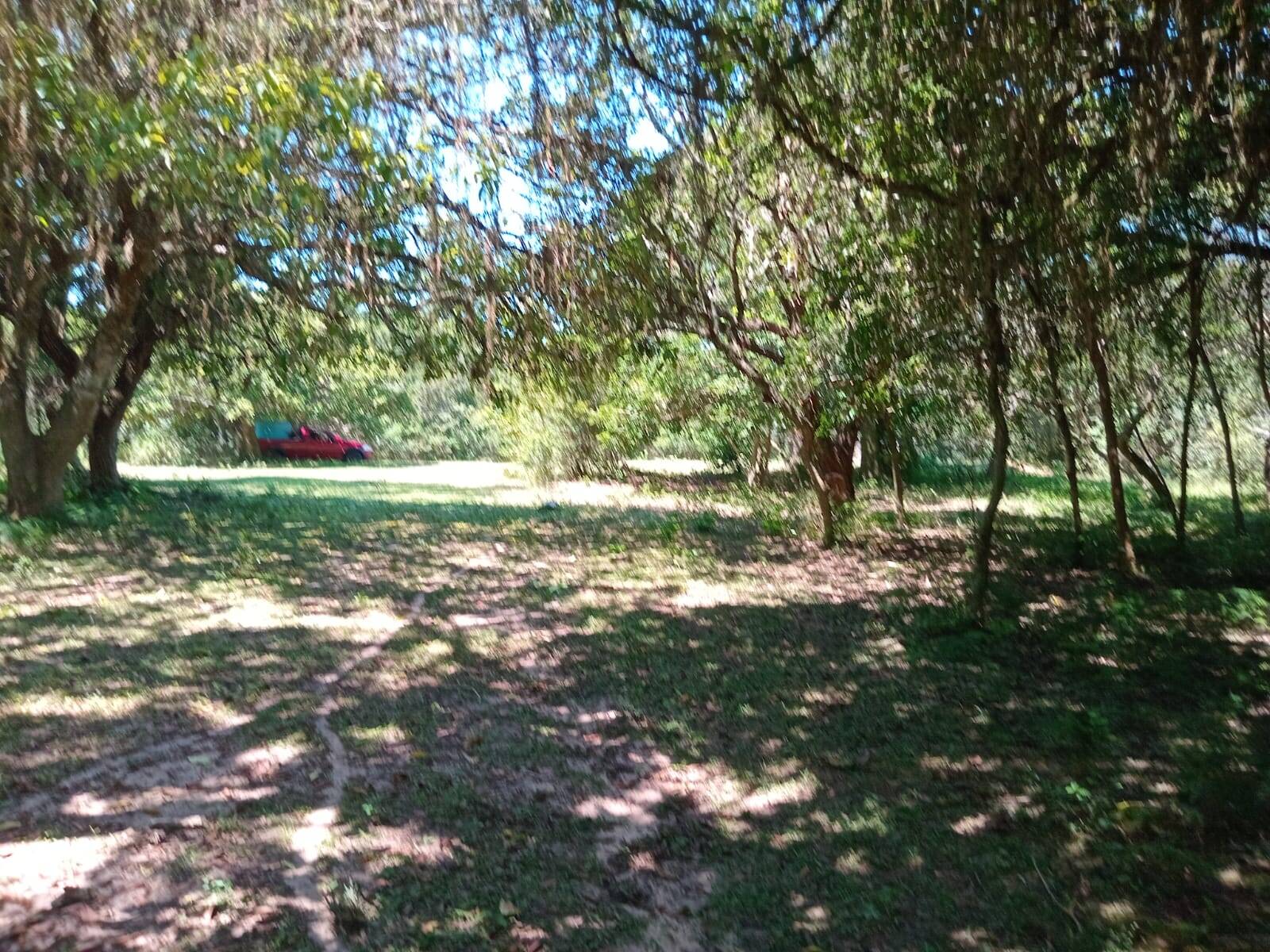 Sítio à venda com 2 quartos, 20000m² - Foto 14