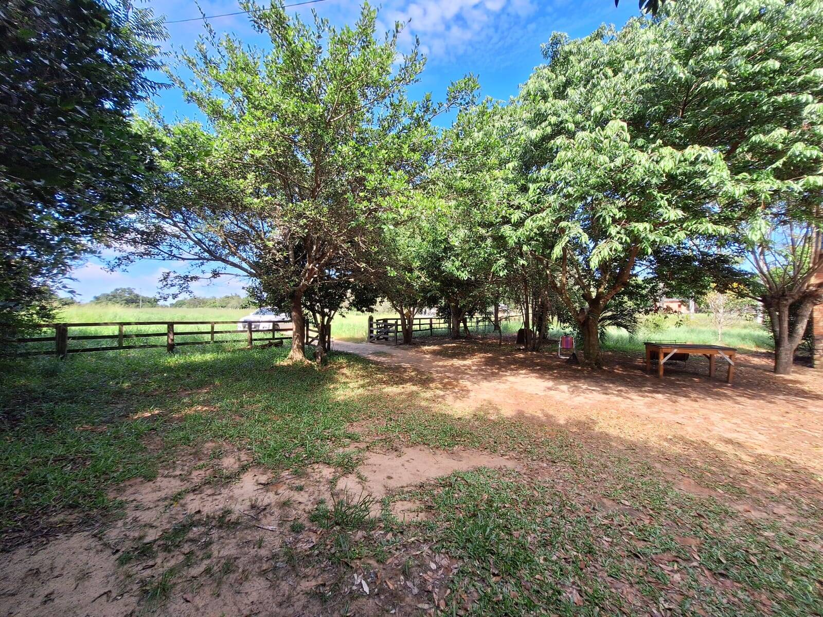 Sítio à venda com 3 quartos, 10500m² - Foto 5