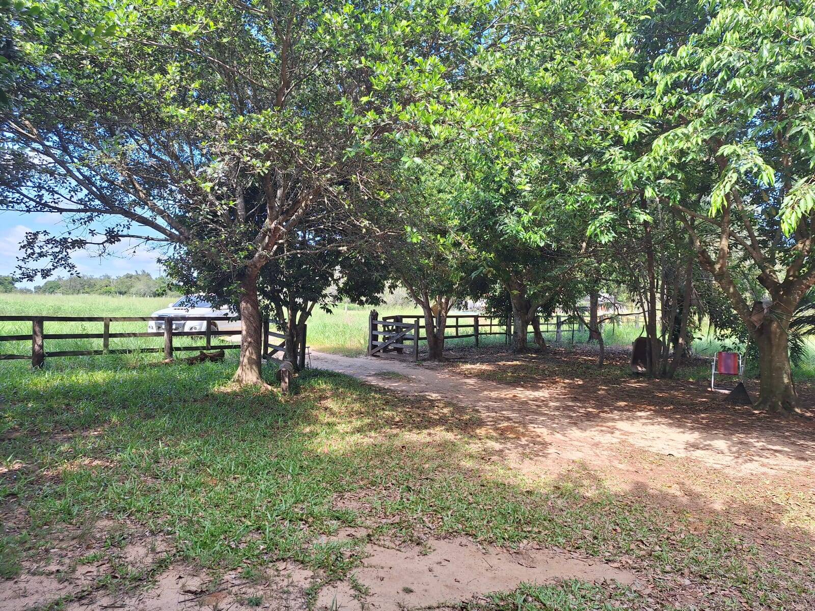 Sítio à venda com 3 quartos, 10500m² - Foto 3