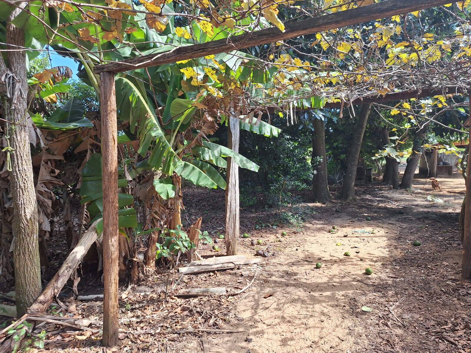 Sítio à venda com 3 quartos, 10500m² - Foto 7